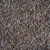 Ajwain
