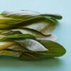 Bok Choy