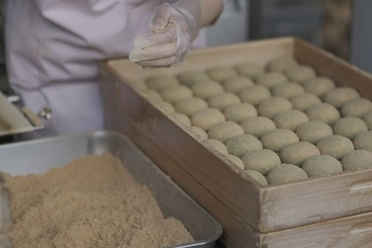 Bracken Starch Mochi with Kinako