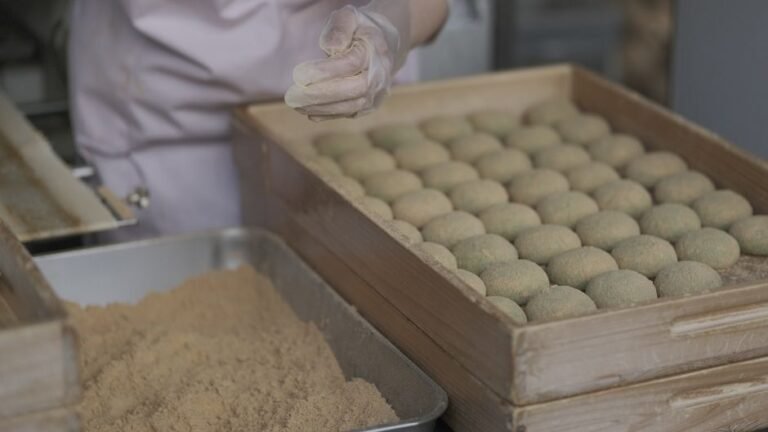 Bracken Starch Mochi with Kinako