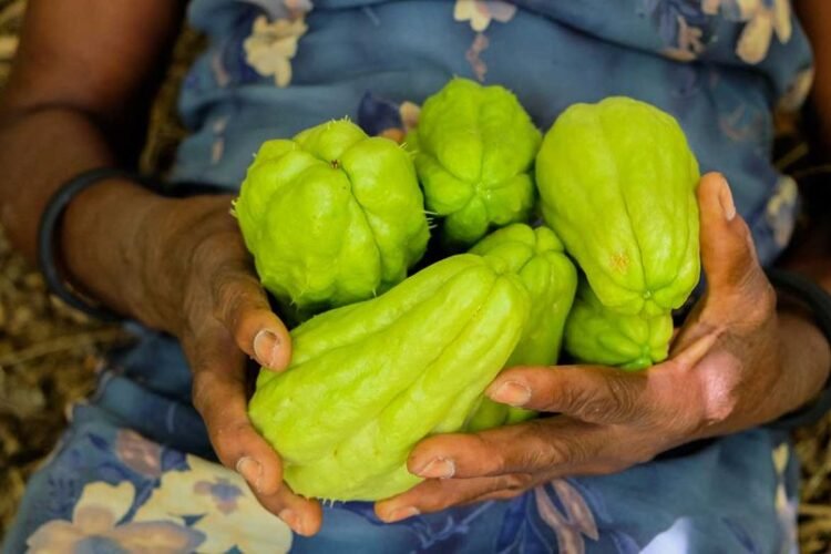 Chayote