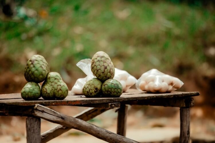 Cherimoya