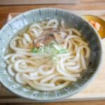 Classic Kake Udon