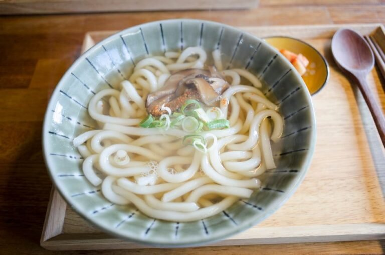 Classic Kake Udon