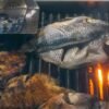 Dakar-Style Grilled Fish with Spicy Onion-Lime Sauce