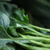 Ethiopian-Style Spiced Collard Greens