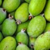 Feijoa