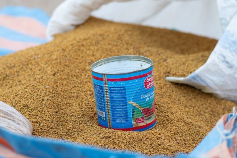 Fenugreek Seeds