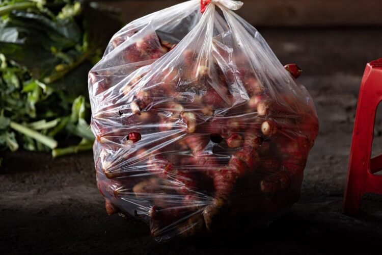 Galangal