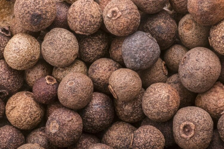 Grains of Paradise
