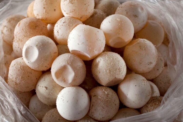 Ivorian Cassava Dough