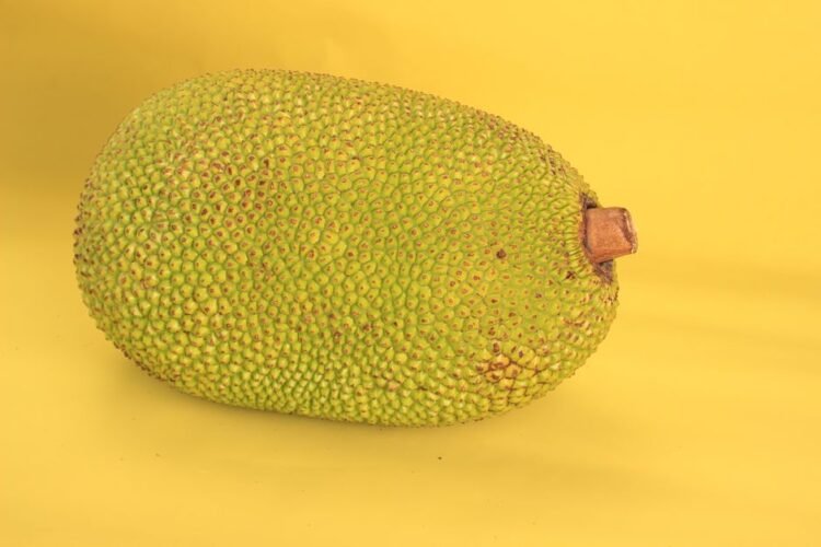 Jackfruit