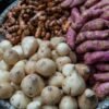 Jicama