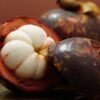 Mangosteen