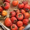 Persimmon