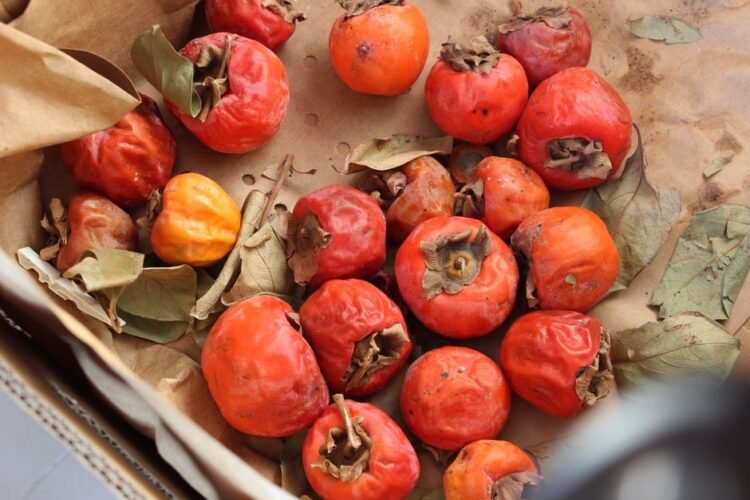 Persimmon