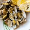 Portuguese Garlic and Coriander Clams