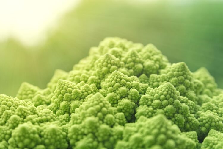 Romanesco