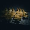 Smoky Suya-Spiced Chicken with Charred Plantains and Spicy Peanut Relish