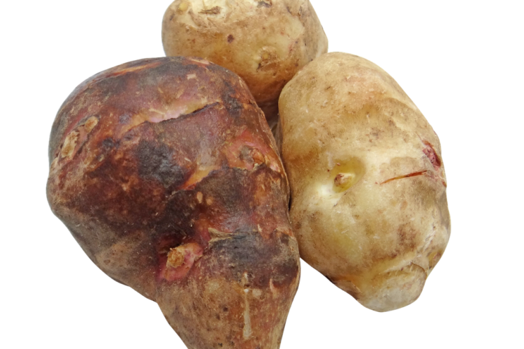 Sunchoke