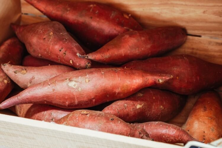 Sweet Potato