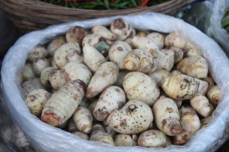 Taro