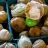 Tomatillo