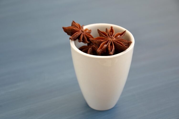 Anise seed