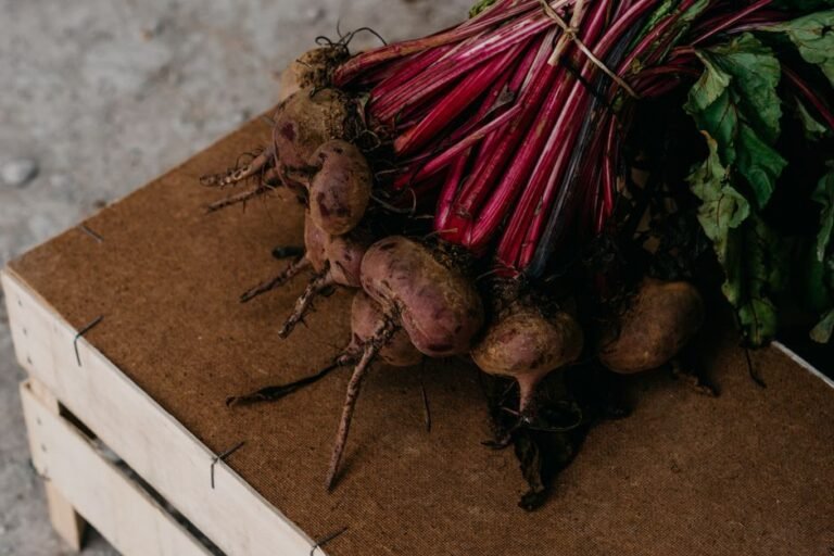 Beet (Beetroot)
