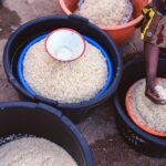 Benachin Mali One Pot Rice