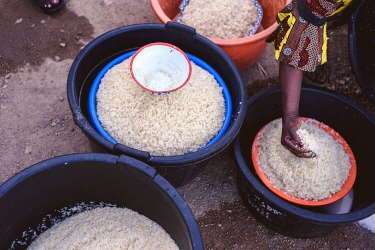 Benachin Mali One Pot Rice