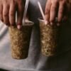 Benin Fermented Corn Drink
