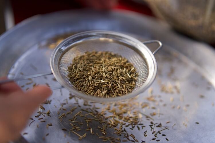 Black Cumin (Nigella Seed)
