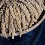 Burkina Faso Millet Paste with Tomato Greens Sauce