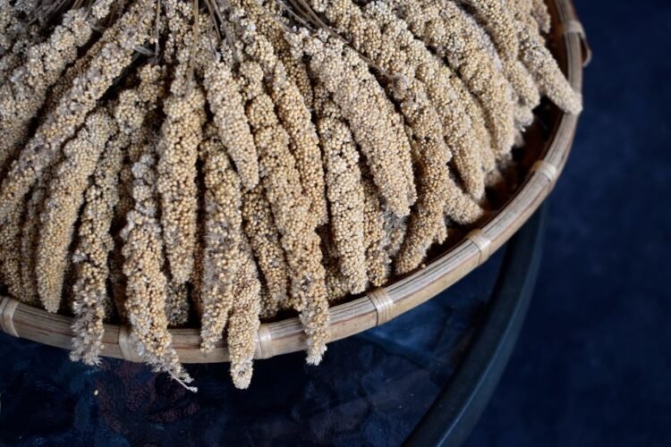 Burkina Faso Millet Paste with Tomato Greens Sauce