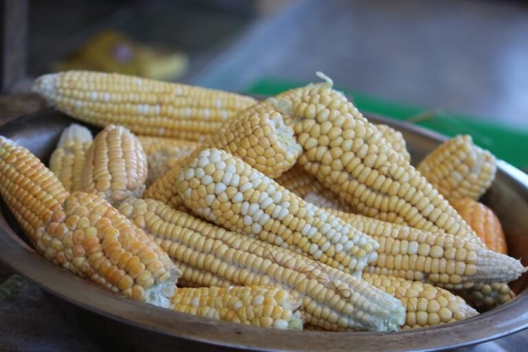 Cambodian Cracked Maize Coconut Pudding