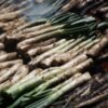Catalan Charred Spring Onions with Romesco Sauce