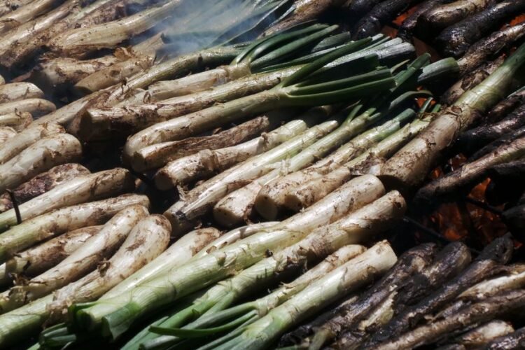 Catalan Charred Spring Onions with Romesco Sauce