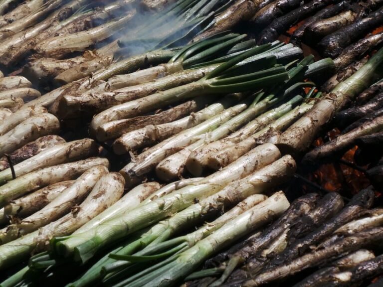Catalan Charred Spring Onions with Romesco Sauce