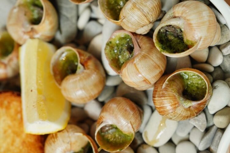 Catalan-Style Snails on the Tin Sheet