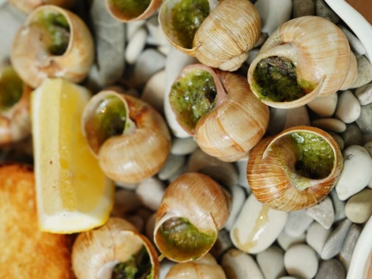 Catalan-Style Snails on the Tin Sheet