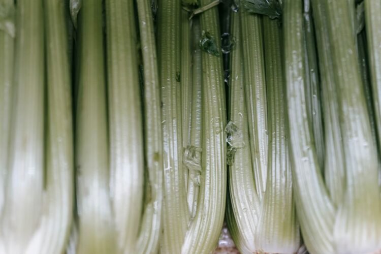 Celery