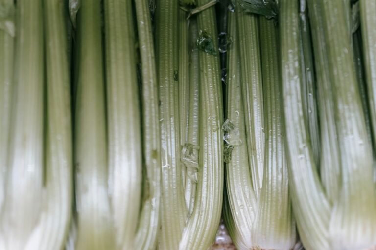 Celery
