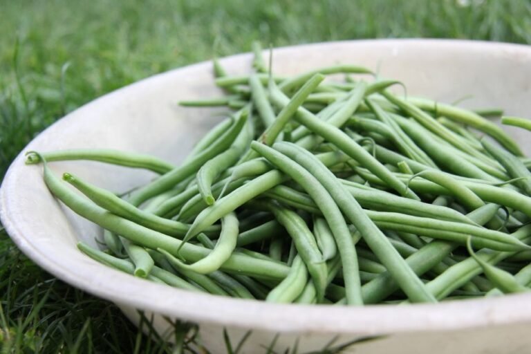 Classic American Green Bean Casserole