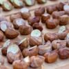 Classic Burgundy Baked Snails with Garlic Herb Butter