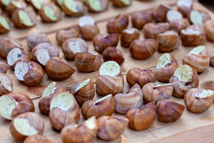 Classic Burgundy Baked Snails with Garlic Herb Butter