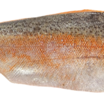 Classic French Trout Amandine