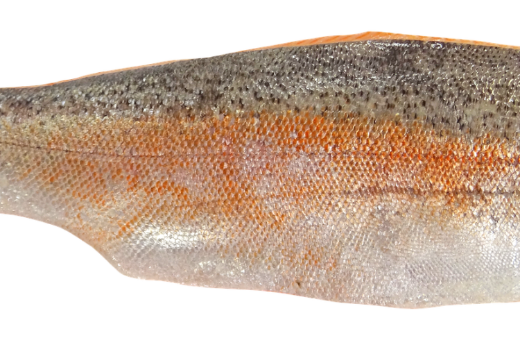 Classic French Trout Amandine