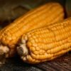 Colombian Creamed Sweet Corn Dessert