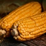 Colombian Creamed Sweet Corn Dessert